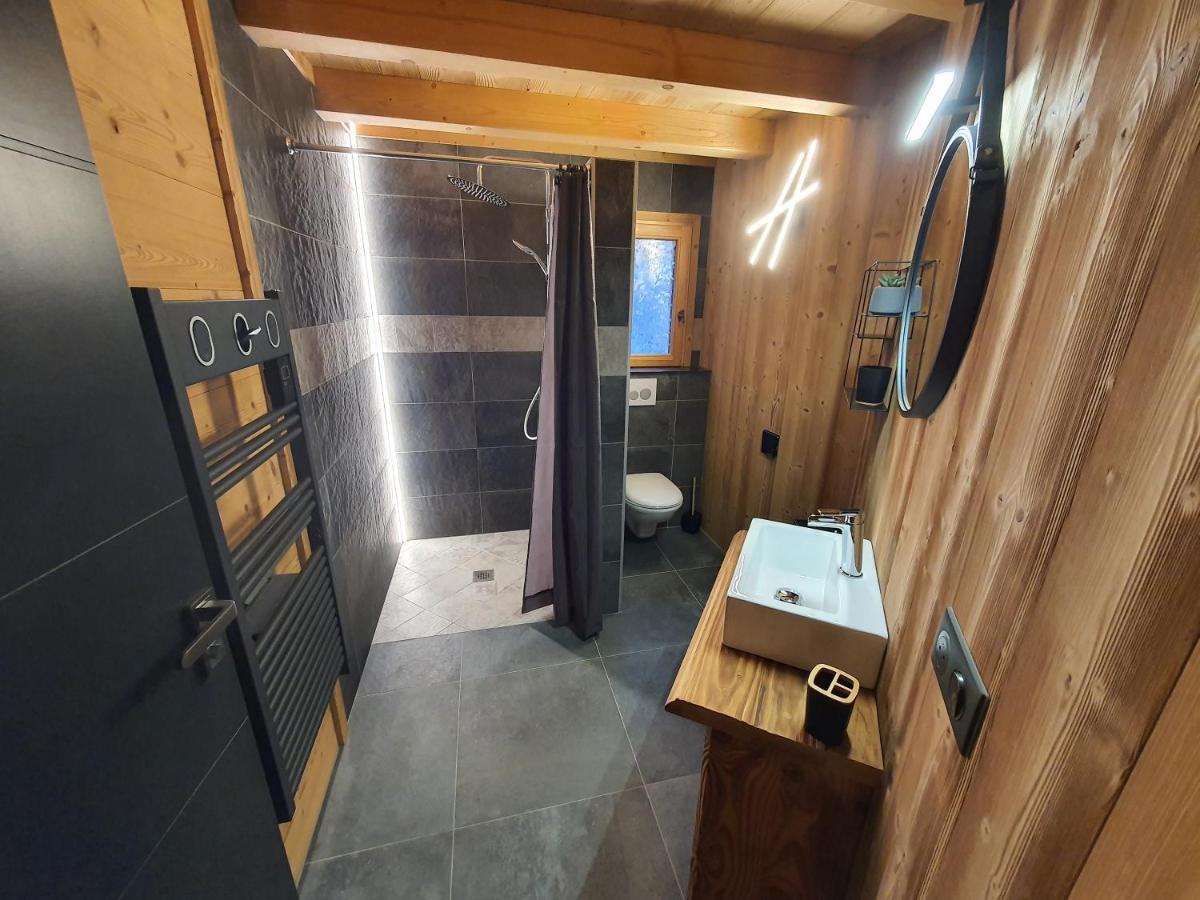 Chalet Cosy Et Moderne Vue Montagnes Seytroux Экстерьер фото